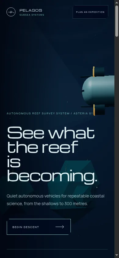 Pelagos Subsea mobile website opening view
