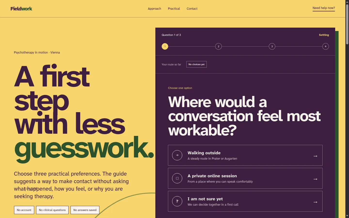 Fieldwork Therapy website concept preview